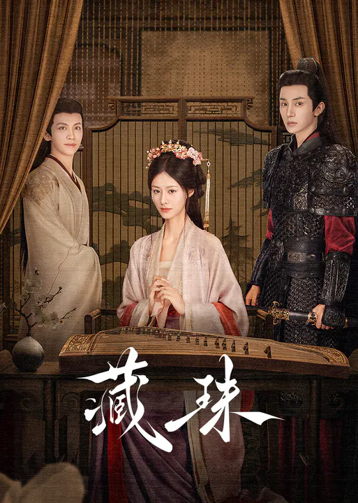 【国产剧】藏珠